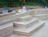 Lyon, King of the Castle.