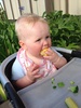 Corn on the cob - a new favourite