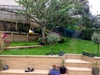 The lawn was a jungle after we got home