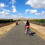 The entrance to Sileni Vinyard