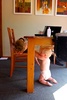 Peekaboo!