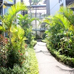 The plush gardens throughout the resort