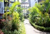 The plush gardens throughout the resort