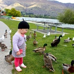 Pat pat, ducks!