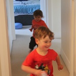 Chase chase chase!