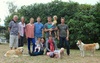 The extended Peck family. Difficult to choreograph with 3 little ones and two dogs!