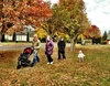 A lovely autumnal walk in Ohakune.