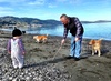 A lovely walk along Petone Beach with Granny (deedee) and Grandpa (poppop).