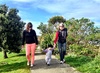 A lovely walk along Petone Beach with Granny (deedee) and Grandpa (poppop).