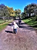 Our second day in Melbourne and met some furry feathered friends at Collingwood farm. Olive had no fear by going up and patting all the animals and pointing at eyes. Loved the chickens the most.