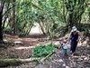 Took a little family bush walk up the back of Karori park. It's nice to have these places so close to home.