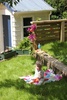 Just enjoying another blue and sunny day on our grass. sigh….