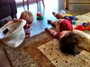 Morning in peka peka. Olive hanging with her boys.