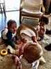 Morning in peka peka. Olive hanging with her boys.