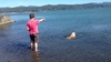 We took Lyon to Petone for a swim to remove a poo dag. It was successful!