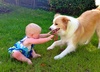 More backyard fun. So nice to see.