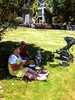 A spot of garden spotting in waikanae.