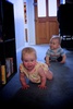 Ant got the grand tour of our house by Olive