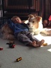 Alex chilling with Lyon in Taupo while we were away on holiday.