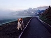 Reminded me of London on the dog walk this morning. 0.4 degrees outside!