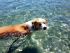 A gorgeous day spent at Lake Taupo. Felt like we were on a tropical island!
