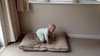 Sleeping and standing.