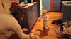 Olive takes some steps!
