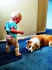 Just a normal day in the Peck household... I think olive has a thing for shoes..