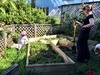 Olive helps as the vege box takes shape.