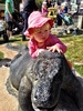 We went to the zoo with Playcentre. Which olive just loved. She could say all the animals she meet, and really like the tiger, who came up close for food and if course the giraffes.