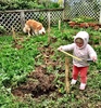 Olive helps to measure up where the vege boxes are to be built on the top tier.