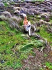 A rather windy walk around makara to let Lyon run wild in the tussocks to get sticks.