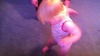 Once Olive gets into a groove, she won't stop! she emptied most of her toy box into her cot and to keep the momentum going she kept spinning!=