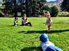 Fish and Chips and Bubbles at a picturesque park near the timeshare.