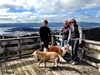 A busy Father's Day starting with a brisk walk up Wrights Hill with Granny and Grandpa, followed by croissants and a Prosser invasion back at home and finishing with Nan and Grandad round for dinner and Olive cuddles!
