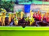 Day 9 and we have tomatoes popping through. Radish was first followed by beet root and then cucumber.