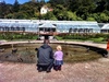 Birthday brunch turned into takeaway coffee & scone after Olive insisted on playing with the 'baby' ducklings. We checked out the beautiful but slightly battered tulips and Olive didn't want to leave the frog fountain either when it was time to go.