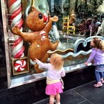 Myer window displays