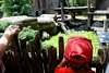 Ali's favourite animal (at the moment) the Bear!