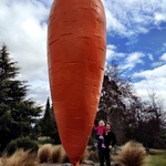 The Giant Carrot