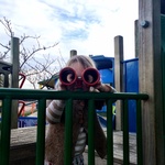 Ahoy there!