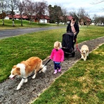 Out for a walk