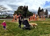 Another playground