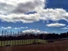 The mountain on the way home