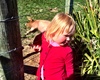 Piggies at Flat Hills cafe