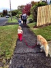 Out for a walk.
