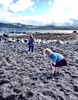 Fun times down at the beach during a break in the weather.
