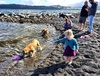 Fun times down at the beach during a break in the weather.