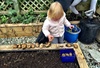 We pulled out a few more potatoes and thinned the carrots out a little! Also cleared out all the old plants ready to start again.