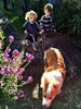 Ali and Olive take Lyon for a walk.